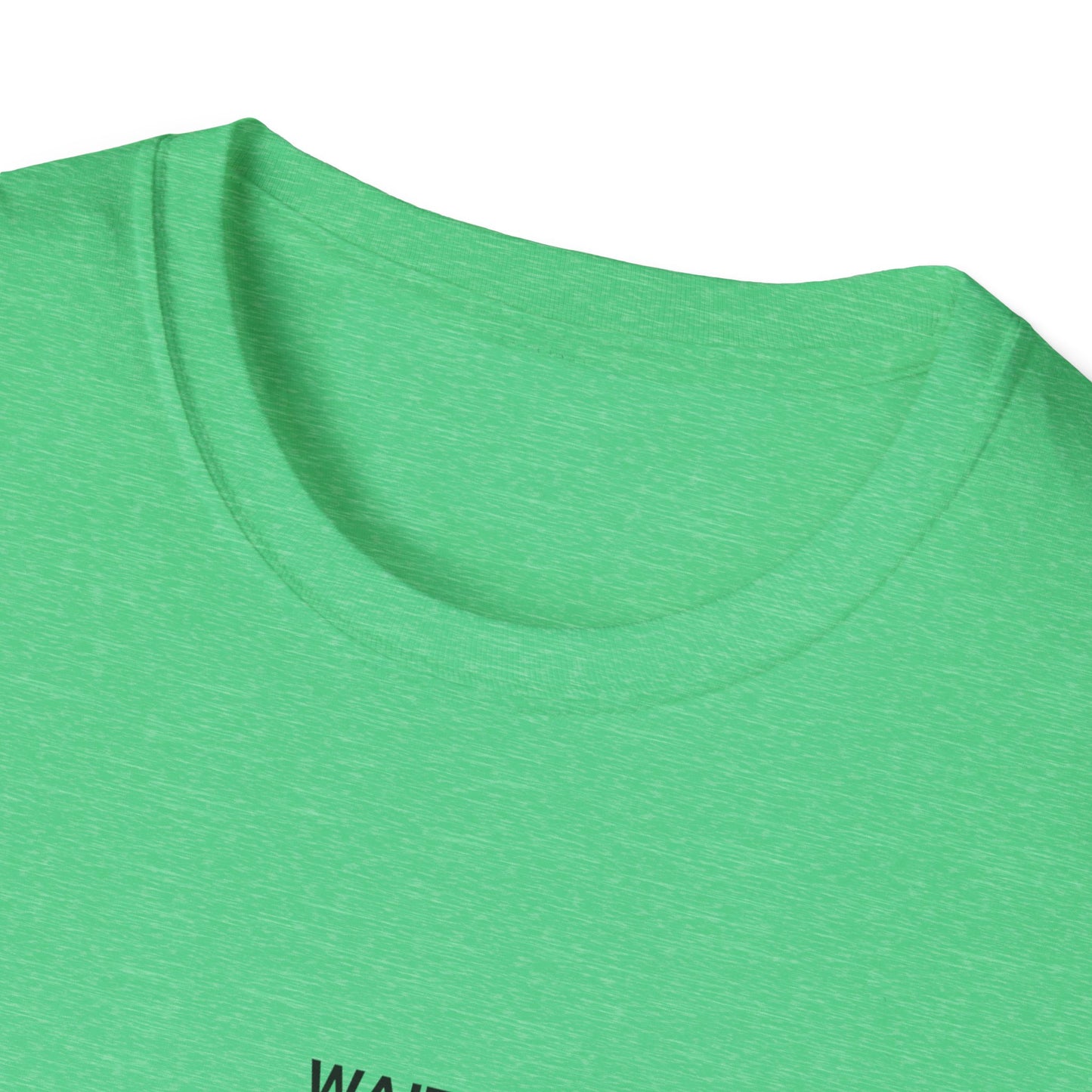 Unisex Funny Statement T-Shirt, Casual Wear, Gift for Friends, Humor Tee, Birthday Gift, Fun Fashion