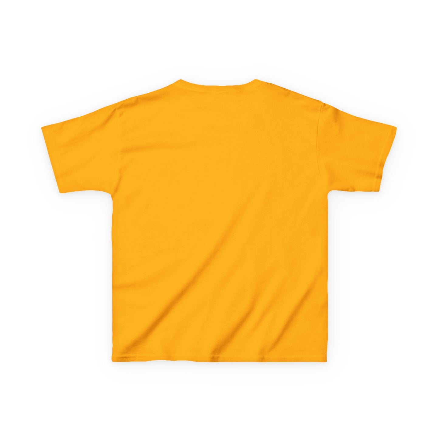 Birthday Boy Kids Tee, Fun Birthday Gift, Cool Graphic Tee, Casual Kids Clothing, Race Car Design Shirt, Dinosaur design