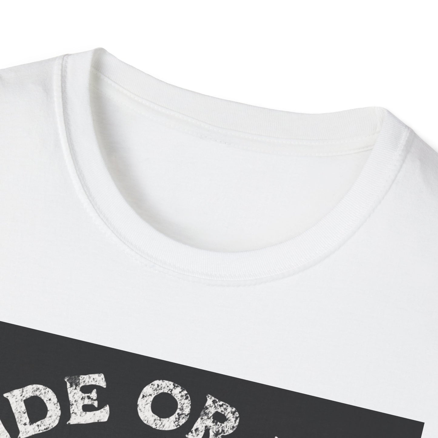 Ride or Die Skull T-Shirt | Edgy Graphic Tee, Unisex Casual Wear, Perfect Gift for Bikers, Halloween Top, Streetwear Style