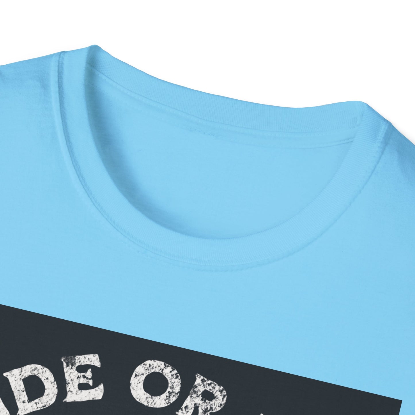 Ride or Die Skull T-Shirt | Edgy Graphic Tee, Unisex Casual Wear, Perfect Gift for Bikers, Halloween Top, Streetwear Style