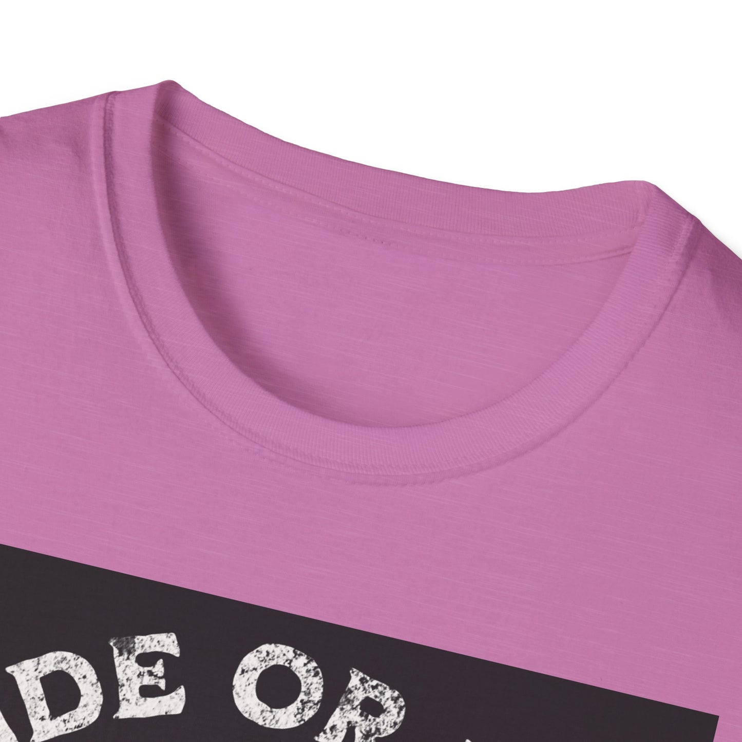 Ride or Die Skull T-Shirt | Edgy Graphic Tee, Unisex Casual Wear, Perfect Gift for Bikers, Halloween Top, Streetwear Style