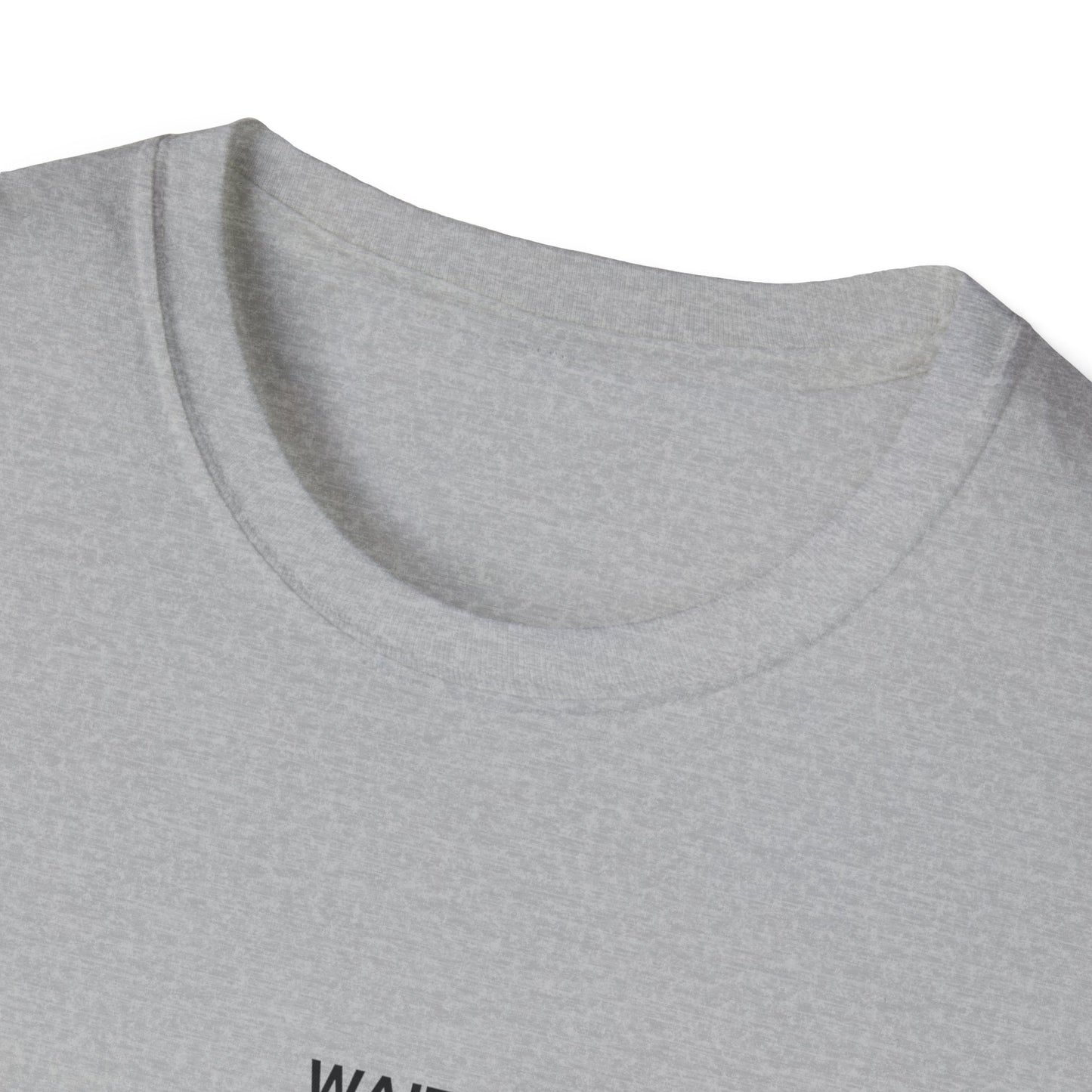 Unisex Funny Statement T-Shirt, Casual Wear, Gift for Friends, Humor Tee, Birthday Gift, Fun Fashion