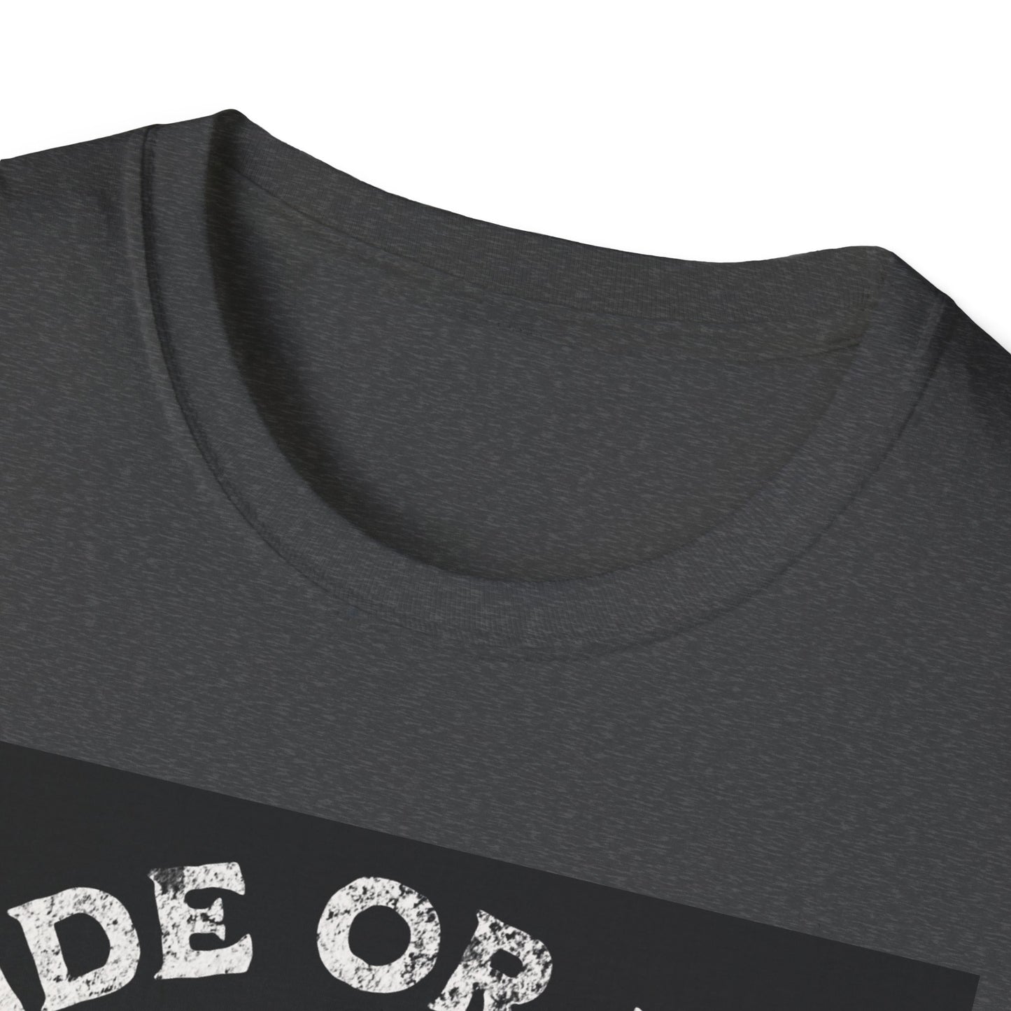 Ride or Die Skull T-Shirt | Edgy Graphic Tee, Unisex Casual Wear, Perfect Gift for Bikers, Halloween Top, Streetwear Style