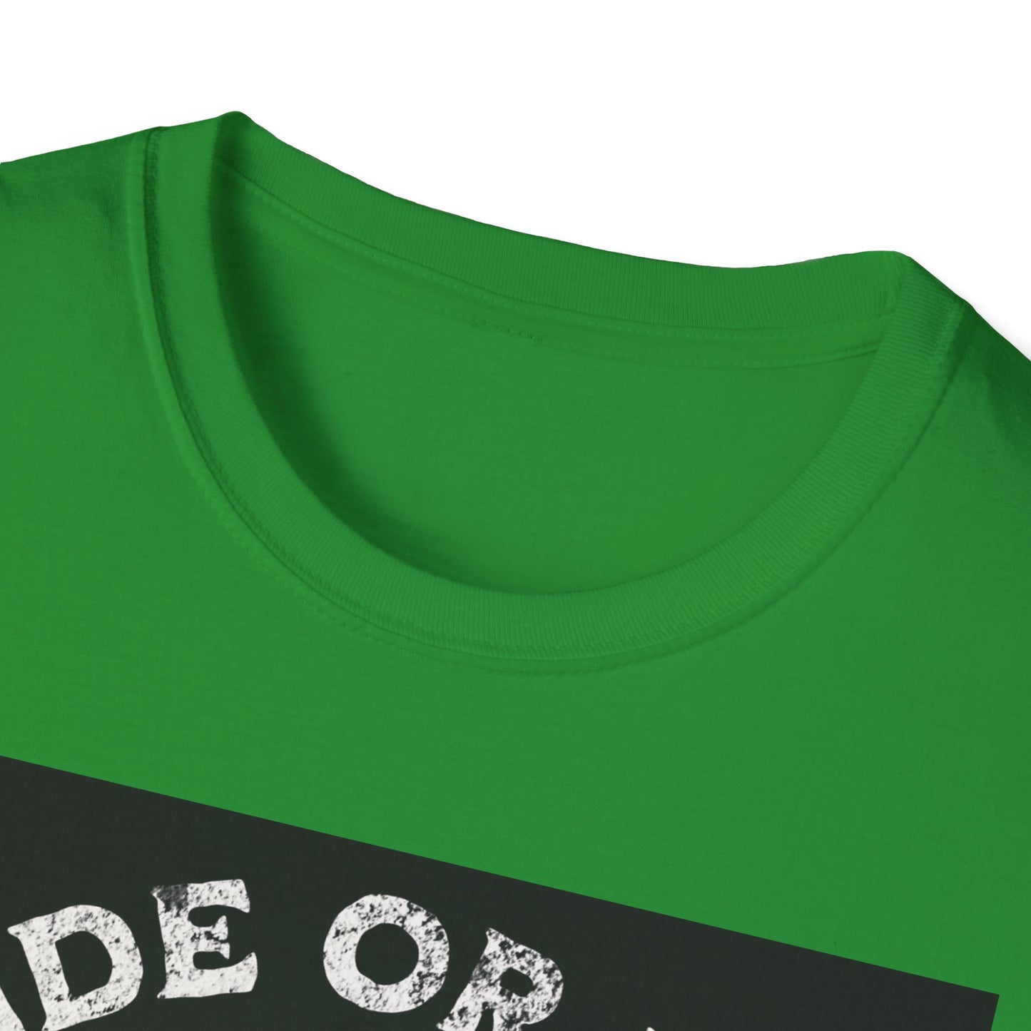 Ride or Die Skull T-Shirt | Edgy Graphic Tee, Unisex Casual Wear, Perfect Gift for Bikers, Halloween Top, Streetwear Style