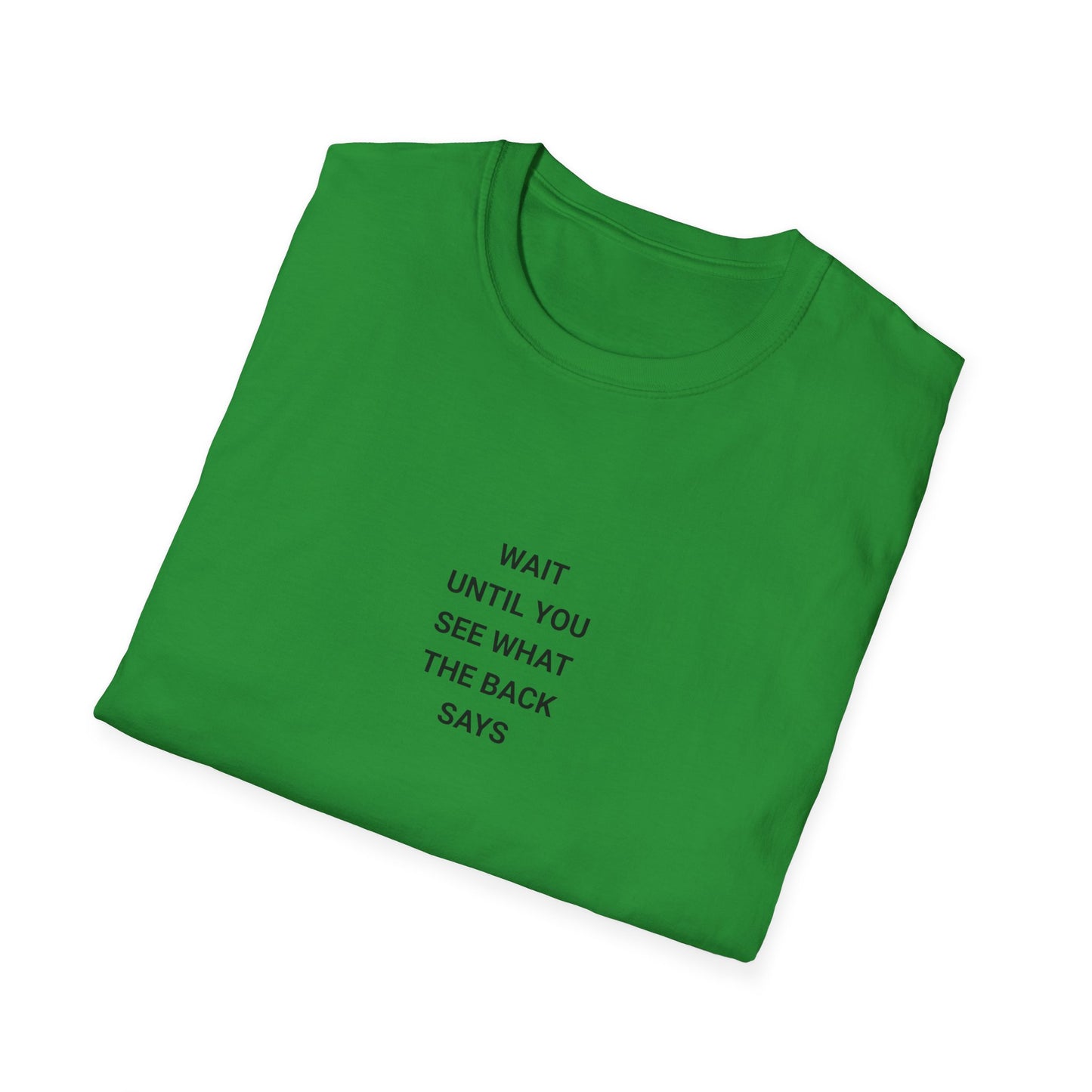 Unisex Funny Statement T-Shirt, Casual Wear, Gift for Friends, Humor Tee, Birthday Gift, Fun Fashion