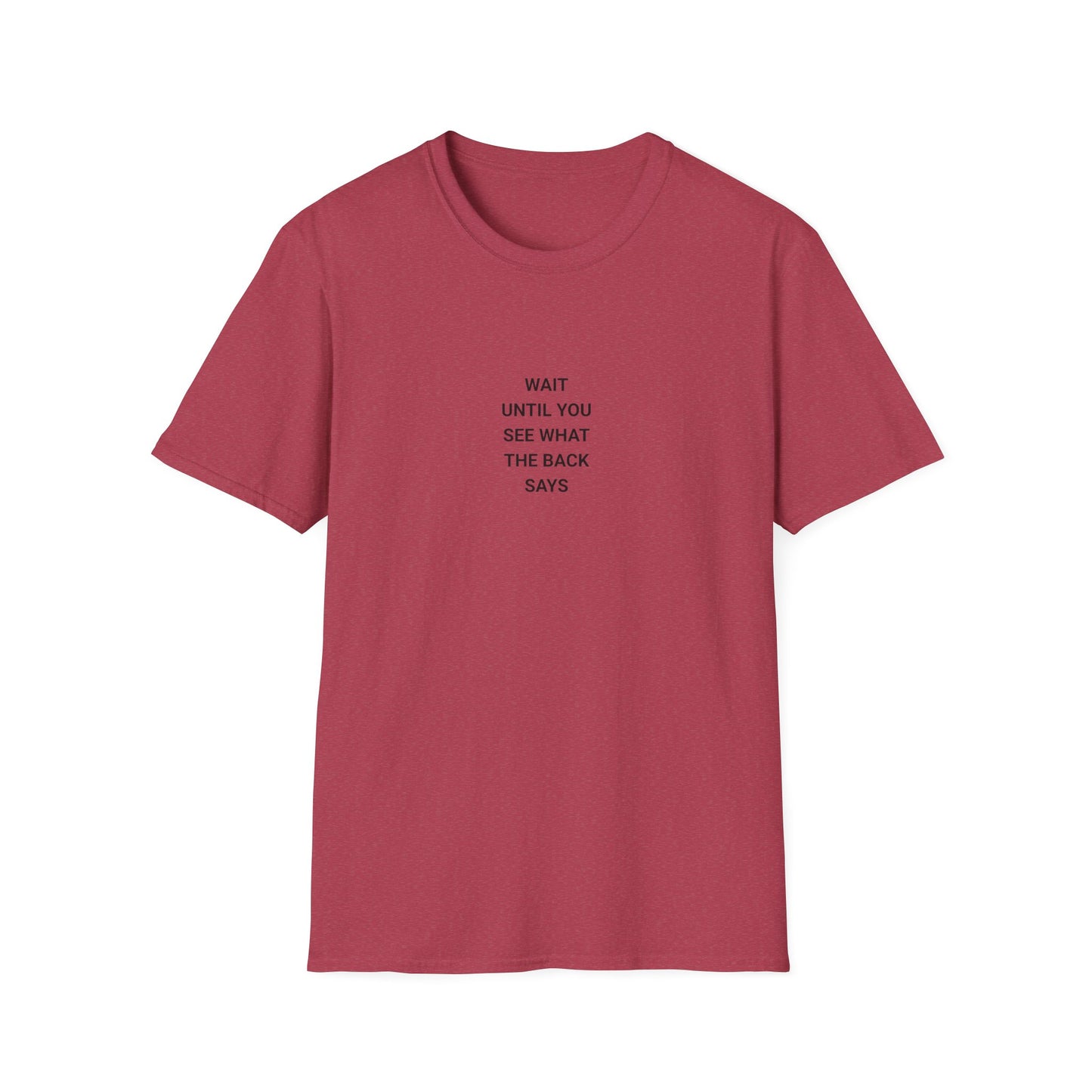 Unisex Funny Statement T-Shirt, Casual Wear, Gift for Friends, Humor Tee, Birthday Gift, Fun Fashion