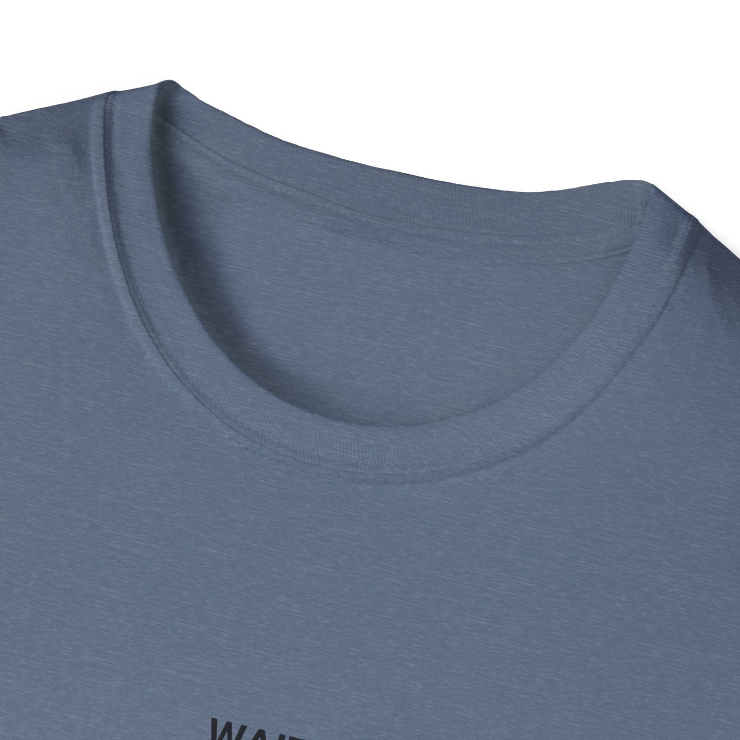 Unisex Funny Statement T-Shirt, Casual Wear, Gift for Friends, Humor Tee, Birthday Gift, Fun Fashion