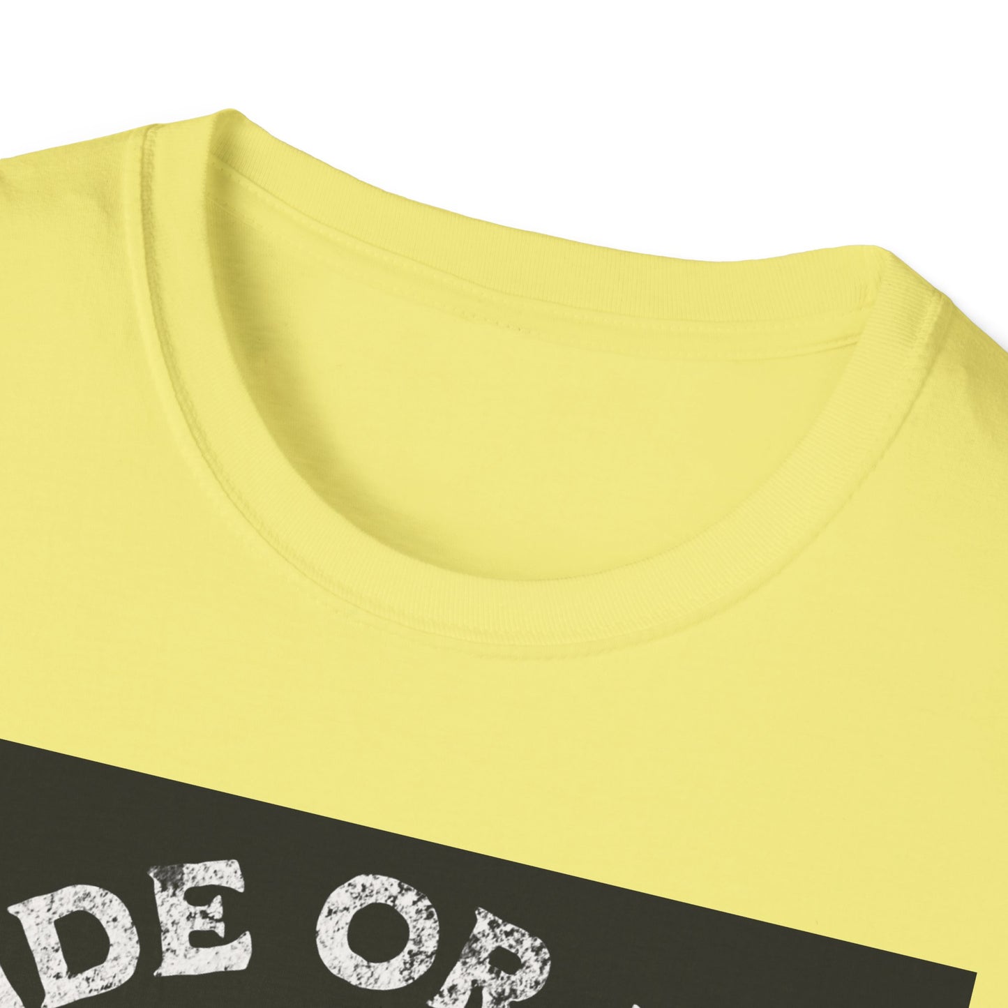Ride or Die Skull T-Shirt | Edgy Graphic Tee, Unisex Casual Wear, Perfect Gift for Bikers, Halloween Top, Streetwear Style