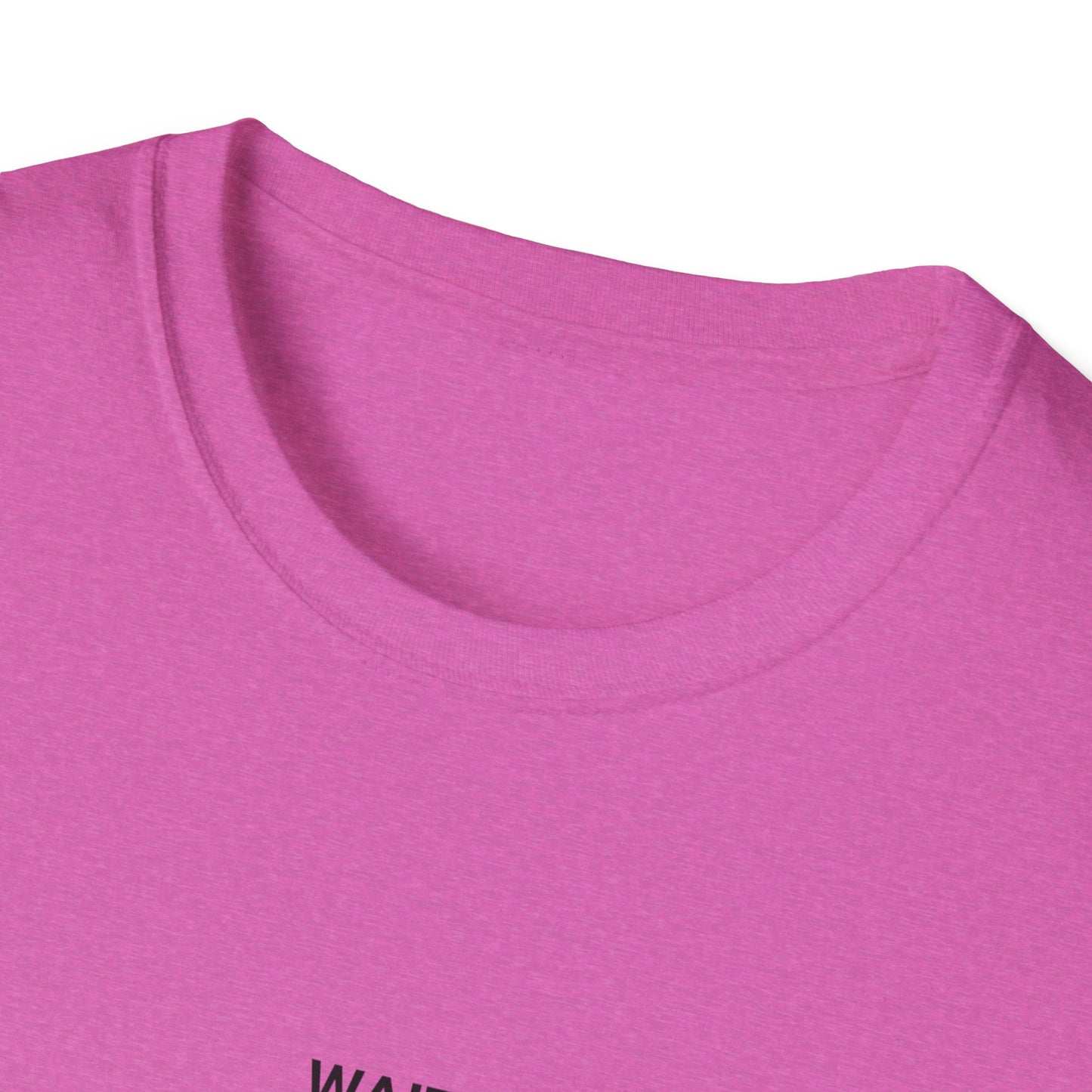 Unisex Funny Statement T-Shirt, Casual Wear, Gift for Friends, Humor Tee, Birthday Gift, Fun Fashion