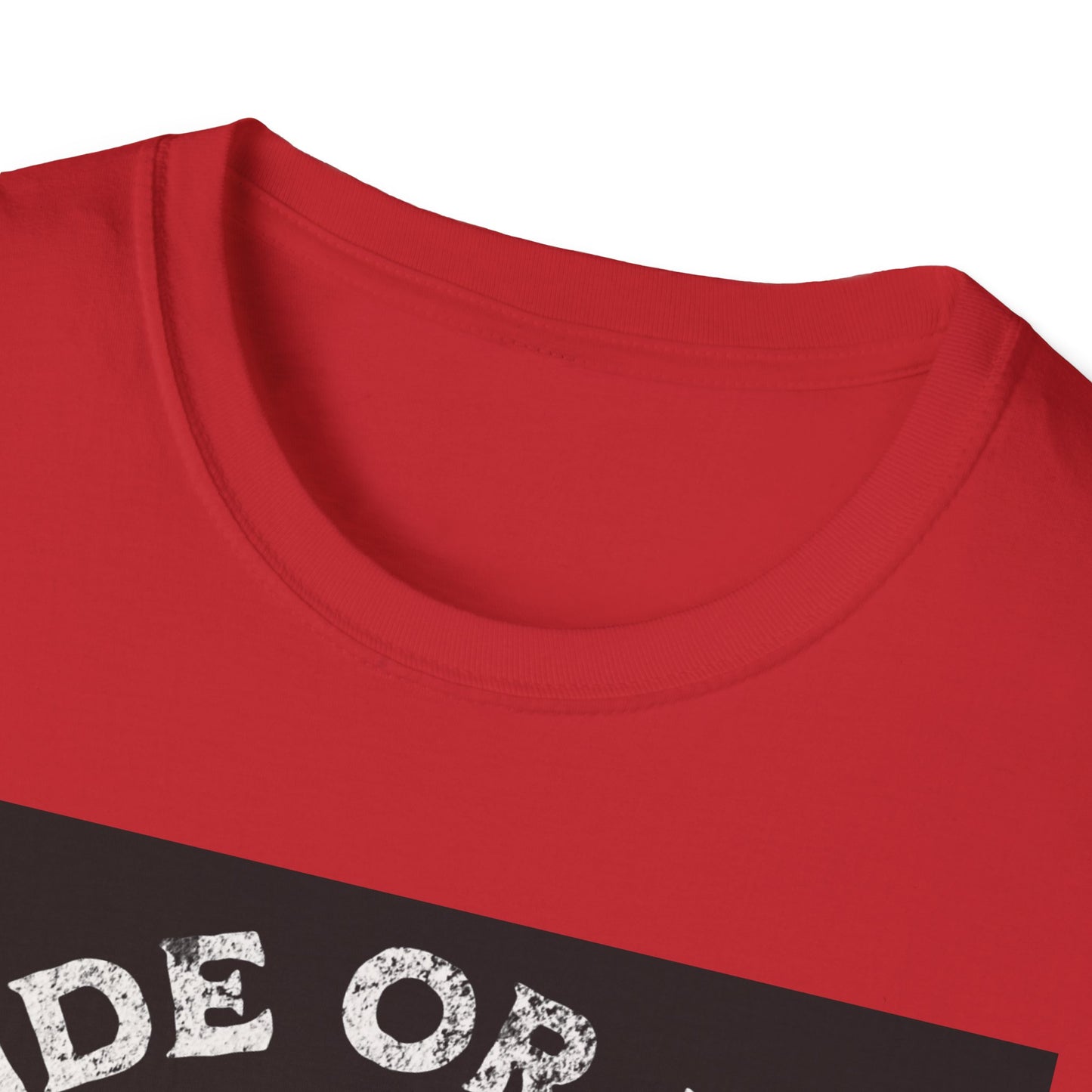 Ride or Die Skull T-Shirt | Edgy Graphic Tee, Unisex Casual Wear, Perfect Gift for Bikers, Halloween Top, Streetwear Style