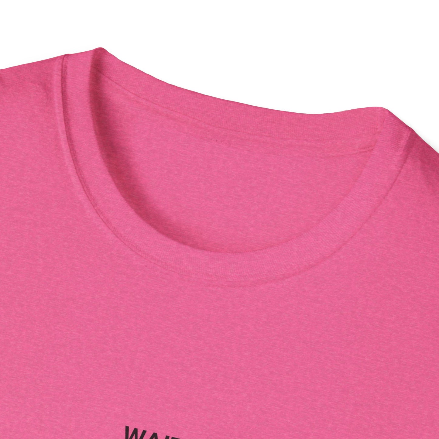 Unisex Funny Statement T-Shirt, Casual Wear, Gift for Friends, Humor Tee, Birthday Gift, Fun Fashion