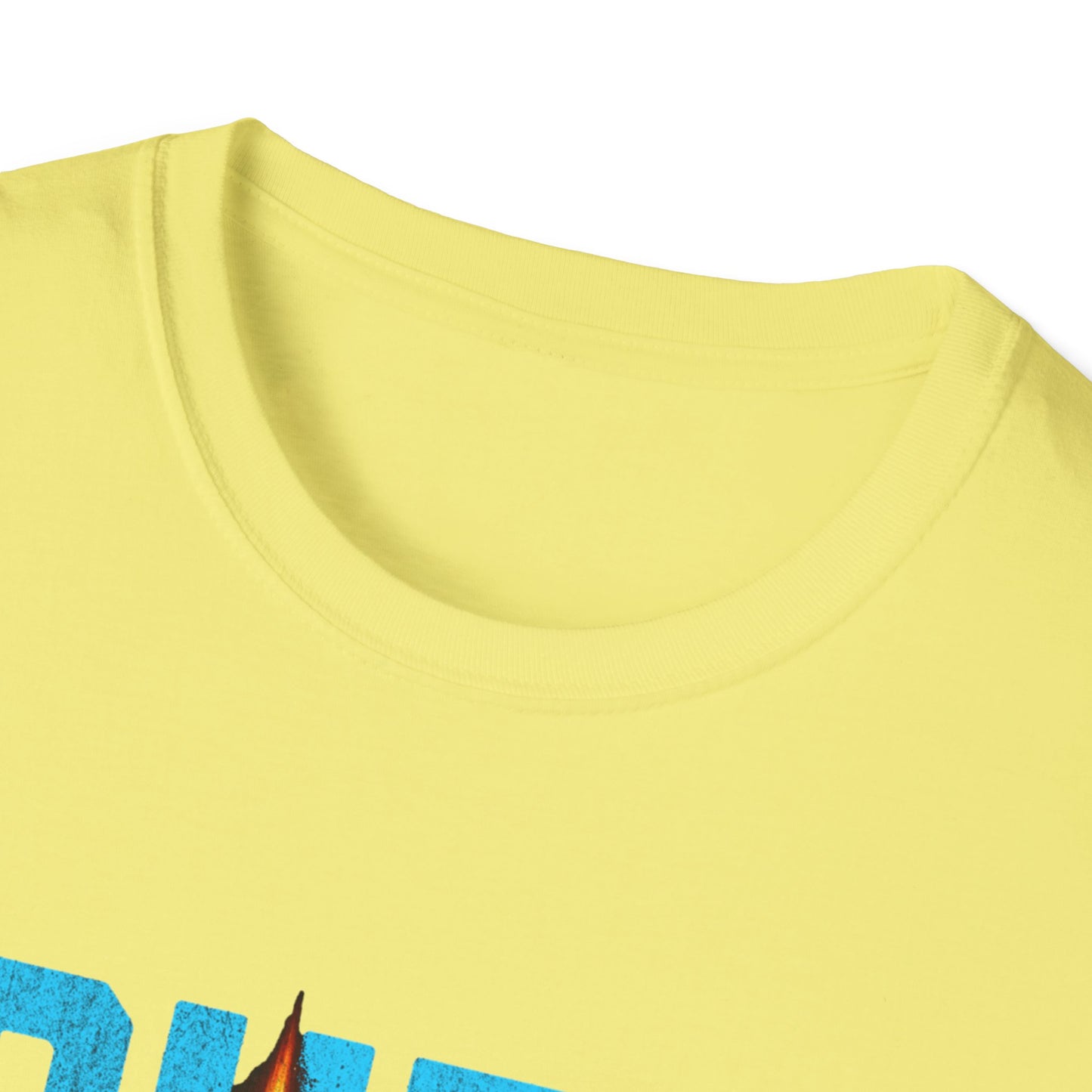 Burn It All Down Unisex Softstyle T-Shirt | Rebel Spirit Tee, Casual Graphic Shirt, Gift for Activists, Statement Wear, Edgy Fashion