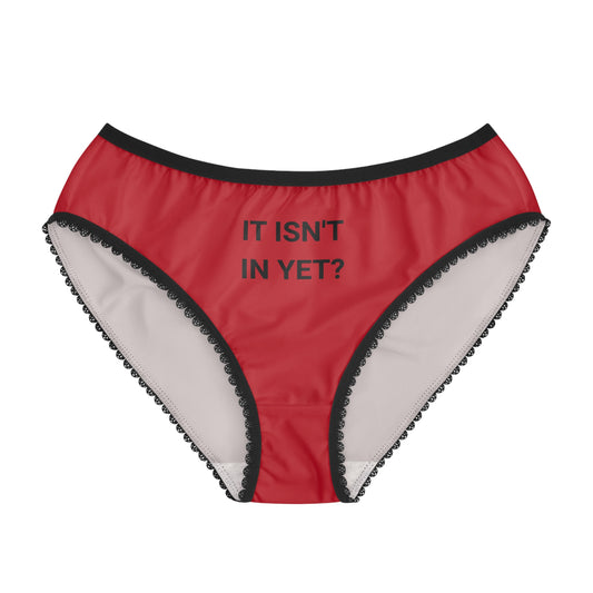 Playful Women's Briefs with Fun Text, Cheeky Lingerie, Comfy Underwear, Gift for Her, Cute Everyday Panties